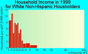 Port Leyden household income for White Non-Hispanic householders