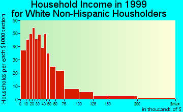 Clinton household income for White Non-Hispanic householders