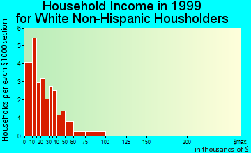 Hayesville household income for White Non-Hispanic householders