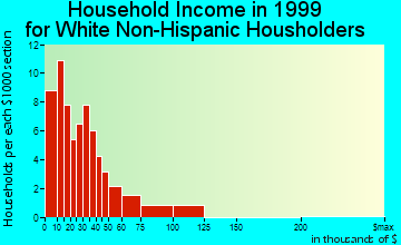 Matamoras household income for White Non-Hispanic householders