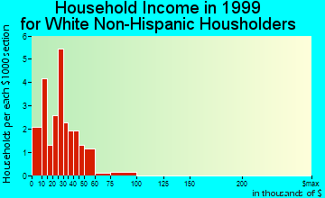 Braman household income for White Non-Hispanic householders
