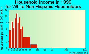 Bushyhead household income for White Non-Hispanic householders