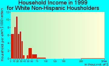 Fort Towson household income for White Non-Hispanic householders