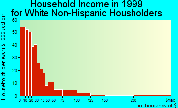 Holdenville household income for White Non-Hispanic householders