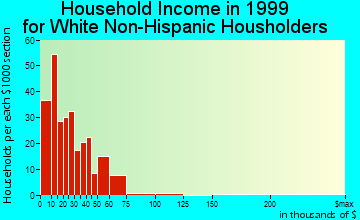 Hugo household income for White Non-Hispanic householders