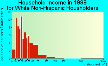 Bay City household income for White Non-Hispanic householders