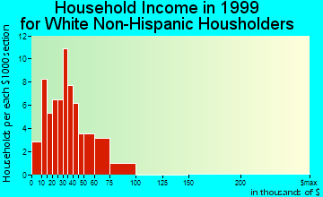 Falls City household income for White Non-Hispanic householders