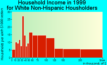 Blue Bell household income for White Non-Hispanic householders