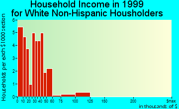 Broad Top City household income for White Non-Hispanic householders