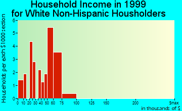 Renningers household income for White Non-Hispanic householders
