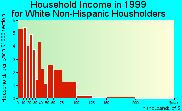 Hemingway household income for White Non-Hispanic householders