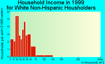 Wolsey household income for White Non-Hispanic householders