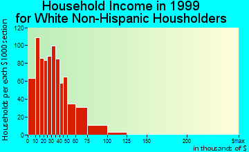 Bloomingdale household income for White Non-Hispanic householders