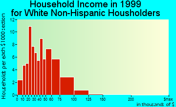 Brighton household income for White Non-Hispanic householders
