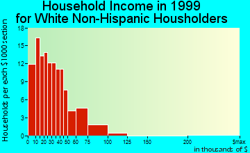 Bruceton household income for White Non-Hispanic householders