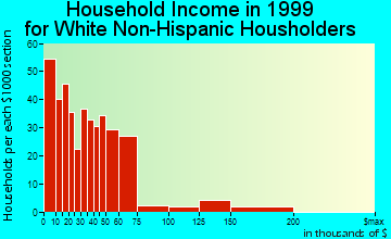 Ripley household income for White Non-Hispanic householders