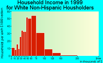 Spring Hill household income for White Non-Hispanic householders