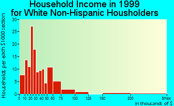Buchanan Dam household income for White Non-Hispanic householders