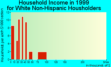 Canutillo household income for White Non-Hispanic householders