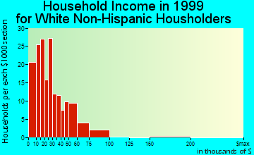 Colorado City household income for White Non-Hispanic householders