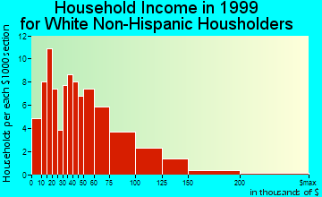 Dripping Springs household income for White Non-Hispanic householders