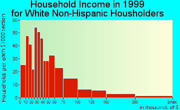 Laredo household income for White Non-Hispanic householders