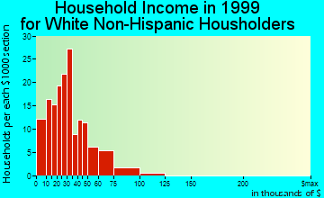 Holt household income for White Non-Hispanic householders