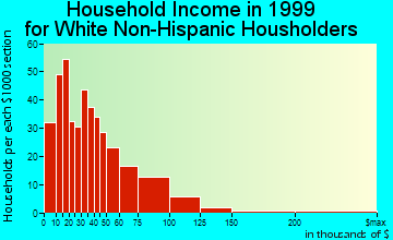 Terrell household income for White Non-Hispanic householders