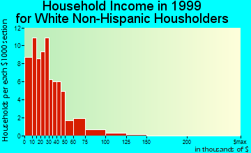 Island Pond household income for White Non-Hispanic householders