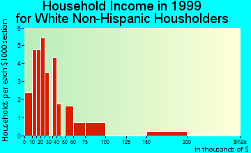 Max Meadows household income for White Non-Hispanic householders