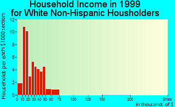 Bayard household income for White Non-Hispanic householders