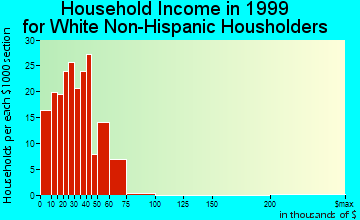 Rio Dell household income for White Non-Hispanic householders