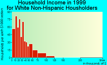 Elkins household income for White Non-Hispanic householders