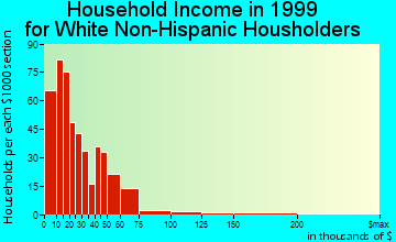 Princeton household income for White Non-Hispanic householders