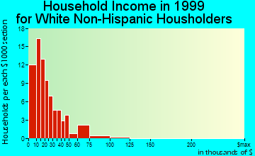 West Union household income for White Non-Hispanic householders