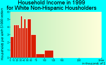 Rudolph household income for White Non-Hispanic householders