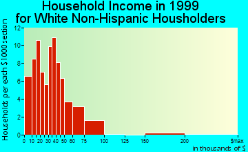Leesburg household income for White Non-Hispanic householders