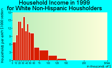 Idaho Springs household income for White Non-Hispanic householders