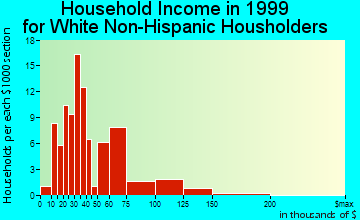 Leadville North household income for White Non-Hispanic householders