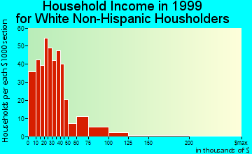 Salida household income for White Non-Hispanic householders