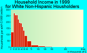 Bayonet Point household income for White Non-Hispanic householders