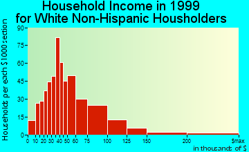 Forest City household income for White Non-Hispanic householders