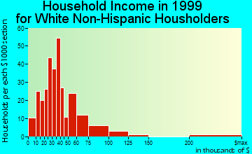 Fort Myers Shores household income for White Non-Hispanic householders