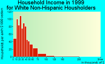 New Port Richey East household income for White Non-Hispanic householders