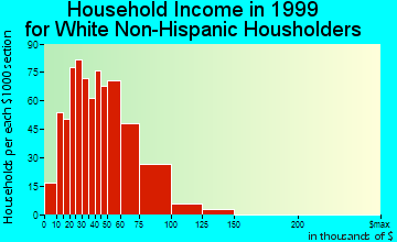 Port St. John household income for White Non-Hispanic householders