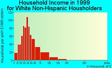 The Villages household income for White Non-Hispanic householders