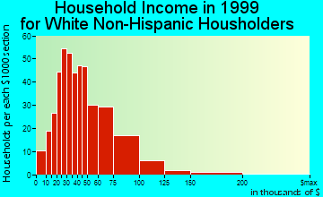 Williamsburg household income for White Non-Hispanic householders