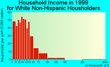 Fort Oglethorpe household income for White Non-Hispanic householders