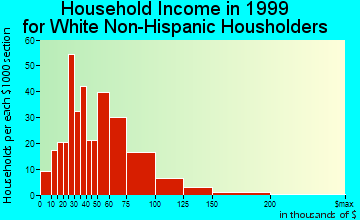 Hailey household income for White Non-Hispanic householders