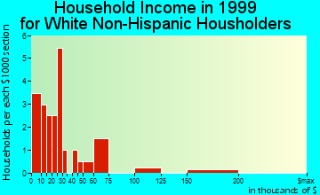 Mud Lake household income for White Non-Hispanic householders